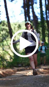 BIB:  <button type="button" onclick="openModal(26787903)" class="btn btn-primary btn-sm float-right" data-toggle="modal" data-target=".modal-high-quality">
                <i class="fa fa-download"></i> Download
                </button>